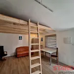 Pronajměte si 1 ložnic/e byt o rozloze 40 m² v Pilsen