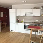 Rent 1 bedroom apartment of 431 m² in vienna