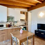 Rent 2 bedroom apartment of 55 m² in Montichiari