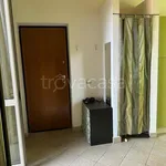 Rent 2 bedroom apartment of 50 m² in Alessandria