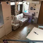 Rent 1 bedroom apartment of 45 m² in Roma