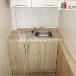 Rent 2 bedroom apartment of 38 m² in Břeclav