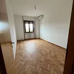 Rent 5 bedroom apartment of 170 m² in Milan