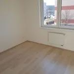 Pronajměte si 2 ložnic/e byt o rozloze 40 m² v jince