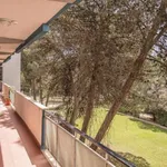 Alugar 1 quarto apartamento de 45 m² em lisbon