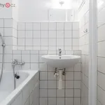 Rent 1 bedroom apartment of 326 m² in Praha