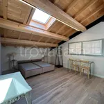 Rent 1 bedroom apartment of 30 m² in Tregnago