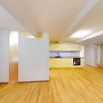 Rent 3 bedroom apartment in Plzeň