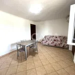 Rent 2 bedroom apartment of 55 m² in Velletri