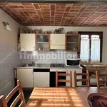 Rent 1 bedroom apartment of 33 m² in Modena