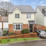 Rent 4 bedroom house in South East England