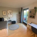 Rent 1 bedroom apartment of 21 m² in Dusseldorf