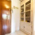 Rent 5 bedroom apartment in Madrid