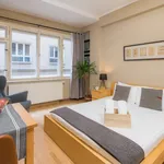 Rent 1 bedroom apartment of 25 m² in Prague