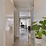 Rent 4 bedroom house of 123 m² in Den Haag