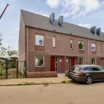 Rent 5 bedroom house of 112 m² in Wyckerpoort