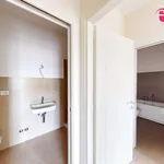 Rent 3 bedroom apartment of 90 m² in Roma