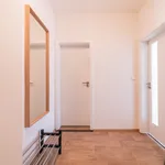 Rent 1 bedroom apartment of 46 m² in Brno