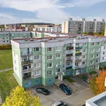 Rent 2 bedroom apartment of 47 m² in Plzeň