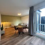 Rent 2 bedroom house of 65 m² in Arnhem