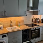 Miete 1 Schlafzimmer wohnung von 36 m² in Chemnitz