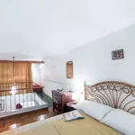 Rent 1 bedroom apartment in rome