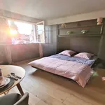 Rent 1 bedroom apartment in PARIS 7