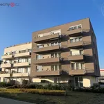 Rent 1 bedroom apartment of 32 m² in Praha 18