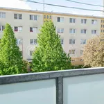 Rent 2 bedroom apartment of 49 m² in Neratovice