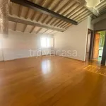 Rent 3 bedroom apartment of 70 m² in Lucca