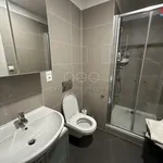 Rent 2 bedroom apartment of 65 m² in Praha