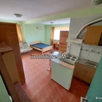 Rent 1 bedroom apartment in Oancea