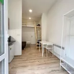 Rent 1 bedroom apartment of 23 m² in Brno