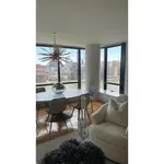 Rent 2 bedroom apartment of 114 m² in New York