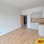 Pronajměte si 2 ložnic/e byt o rozloze 46 m² v Znojmo