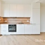 Rent 2 bedroom apartment in Brno