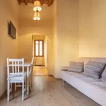 Rent 2 bedroom apartment of 60 m² in Florence