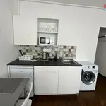 Rent 1 bedroom apartment in Praha 1