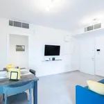 Rent 1 bedroom apartment in Bologna