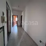 Rent 4 bedroom apartment of 120 m² in Benevento