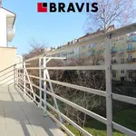 Rent 1 bedroom apartment of 15 m² in Brno