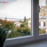 Rent 1 bedroom apartment of 20 m² in Trhový Štěpánov