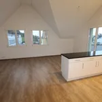 Rent 4 bedroom apartment of 110 m² in  Schweiz