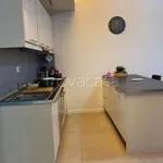 Rent 3 bedroom apartment of 65 m² in Lerici