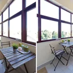 Rent 1 bedroom apartment of 50 m² in Porto