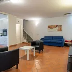 Rent 1 bedroom apartment in Florence