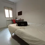 Rent 4 bedroom apartment in Madrid