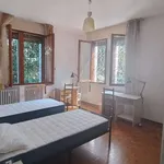 Rent a room in padua