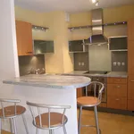 Rent 1 bedroom apartment of 41 m² in CLERMONT-FERRAND