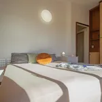 Rent 1 bedroom apartment in Milano